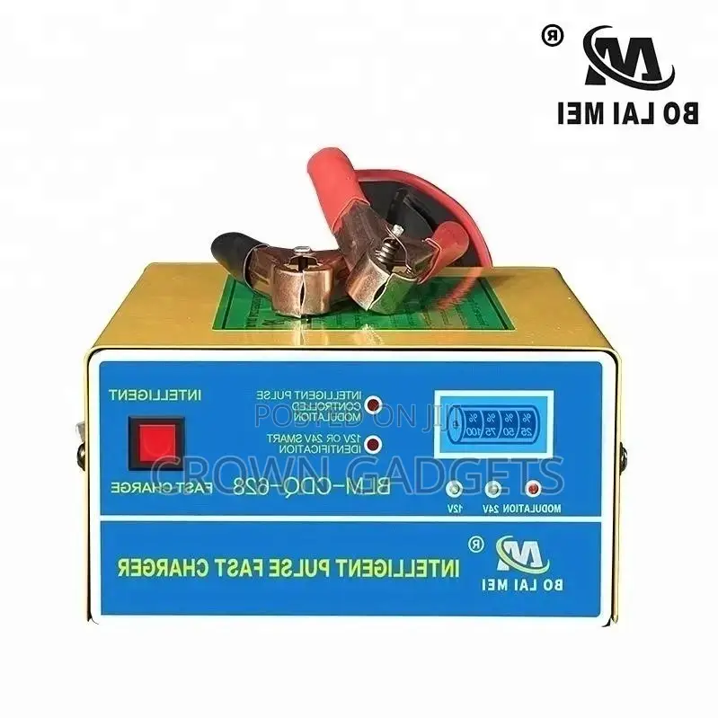 12v/24v Car Battery Charger