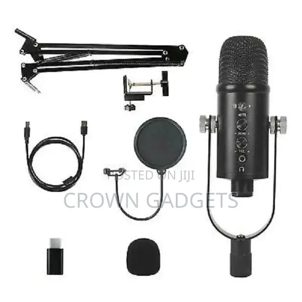 Professional Streaming USB Microphone