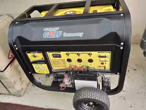 Lenhard Golf Germany 10kva Generator