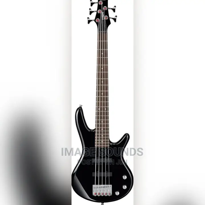 Bass Guitar 5 String