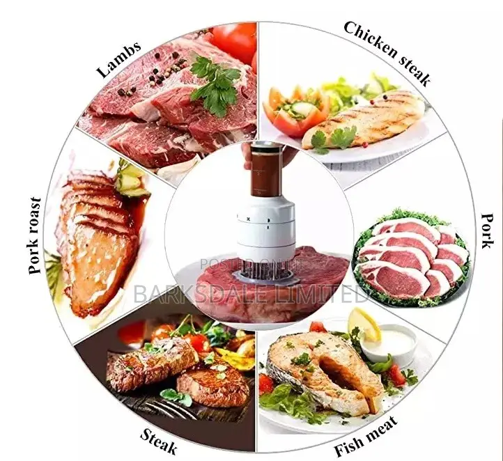 Syringe Steel Meat Tenderizer 30 Needles Flavor Marinade