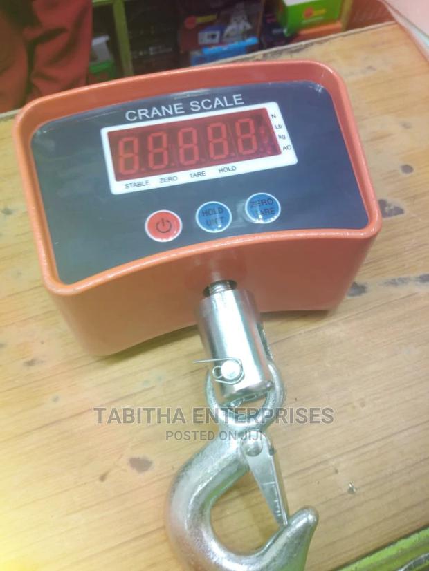 500kg Crane Scale