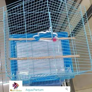 Love Birds Cage