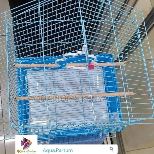 Love Birds Cage - main view