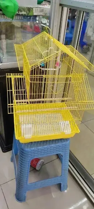 Ornamental Birds Cage, Love Bird Cage, Budgies Cage