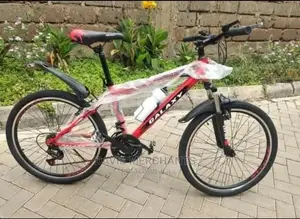 GALAXY Size 24 Sports Bike