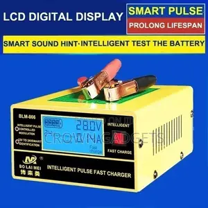 Automatic Smart Pulse Car Battery Charger,Trendy G