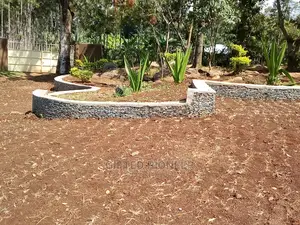 Stone Hedge Expert in Landscape Design