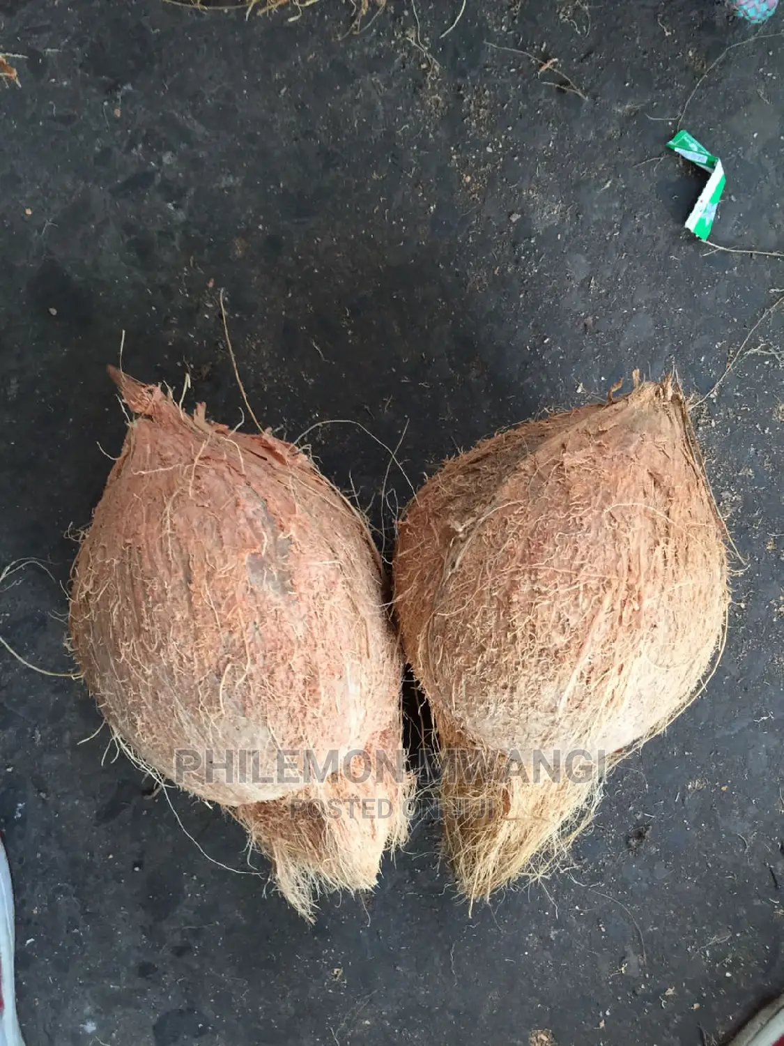 Coconuts for Sale