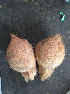 Coconuts for Sale