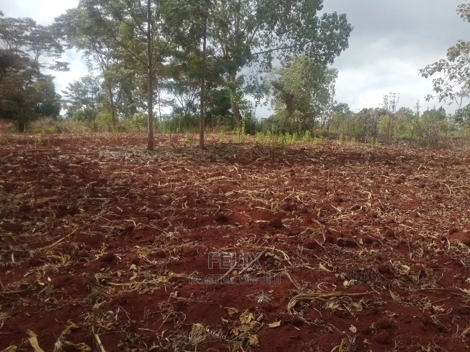1 Acre Nyeri/Marua Next to Bradegates Hotel