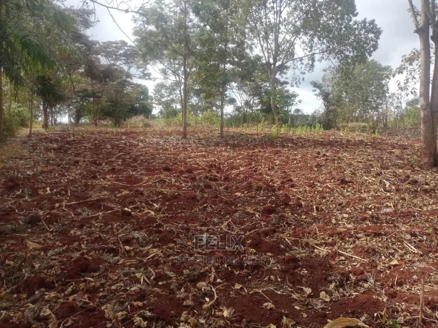 1 Acre Nyeri/Marua Next to Bradegates Hotel