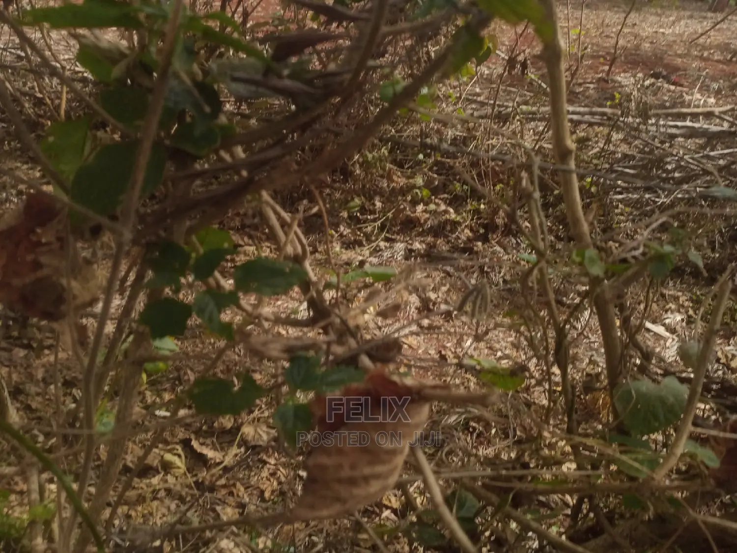 1 Acre Nyeri/Marua Next to Bradegates Hotel