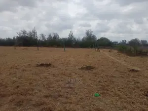 Chaka Prime Plots