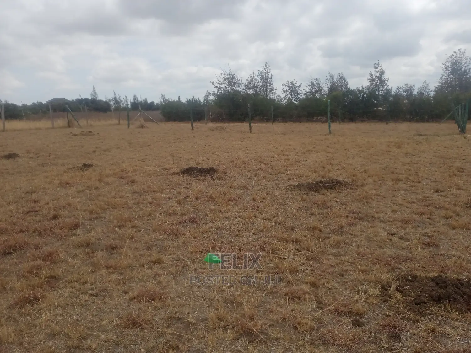 Chaka Prime Plots