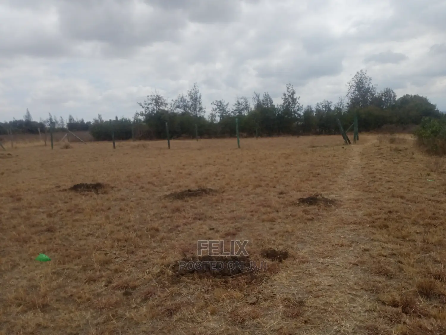 Chaka Prime Plots