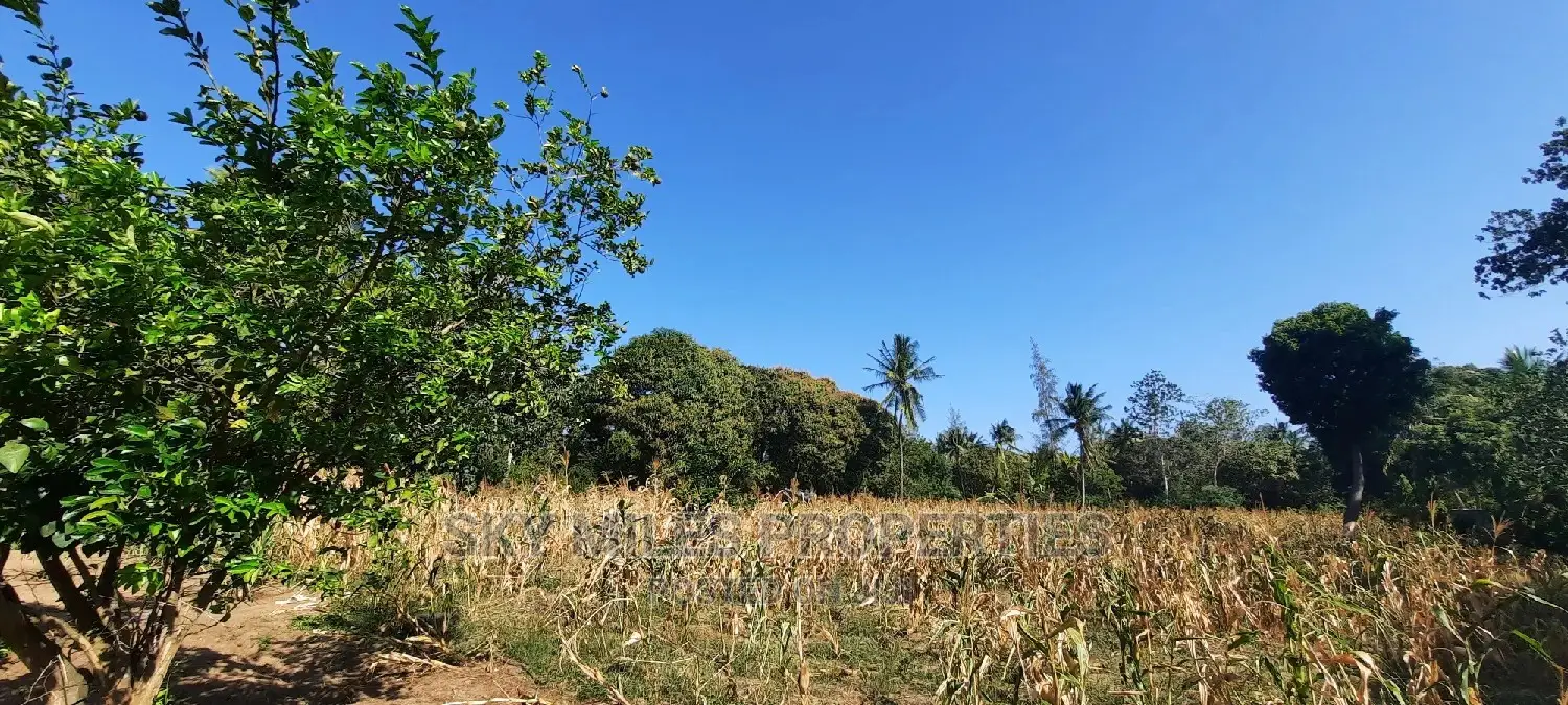 50/100 Plots on Sale at Mtwapa Behind Kari.