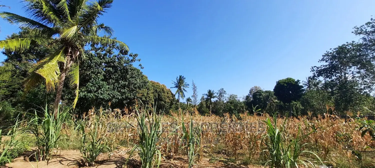 50/100 Plots on Sale at Mtwapa Behind Kari.
