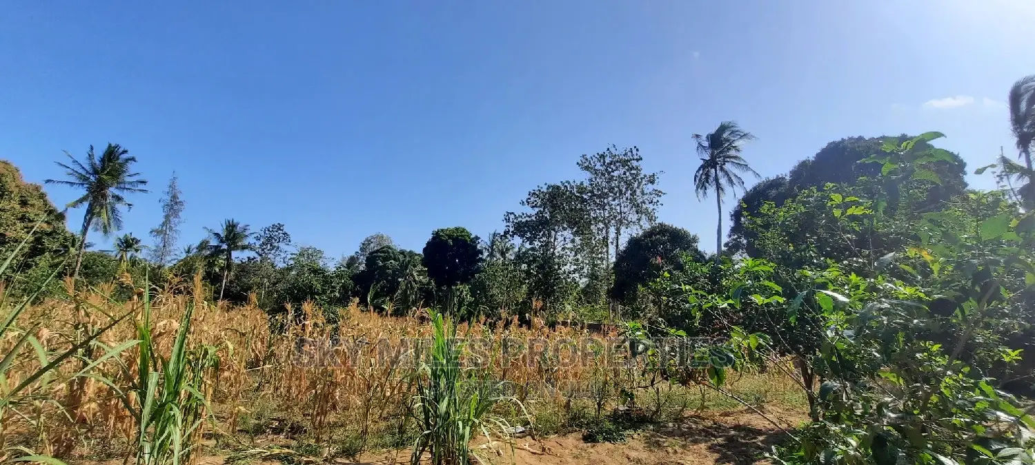 50/100 Plots on Sale at Mtwapa Behind Kari.