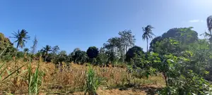 50/100 Plots on Sale at Mtwapa Behind Kari.