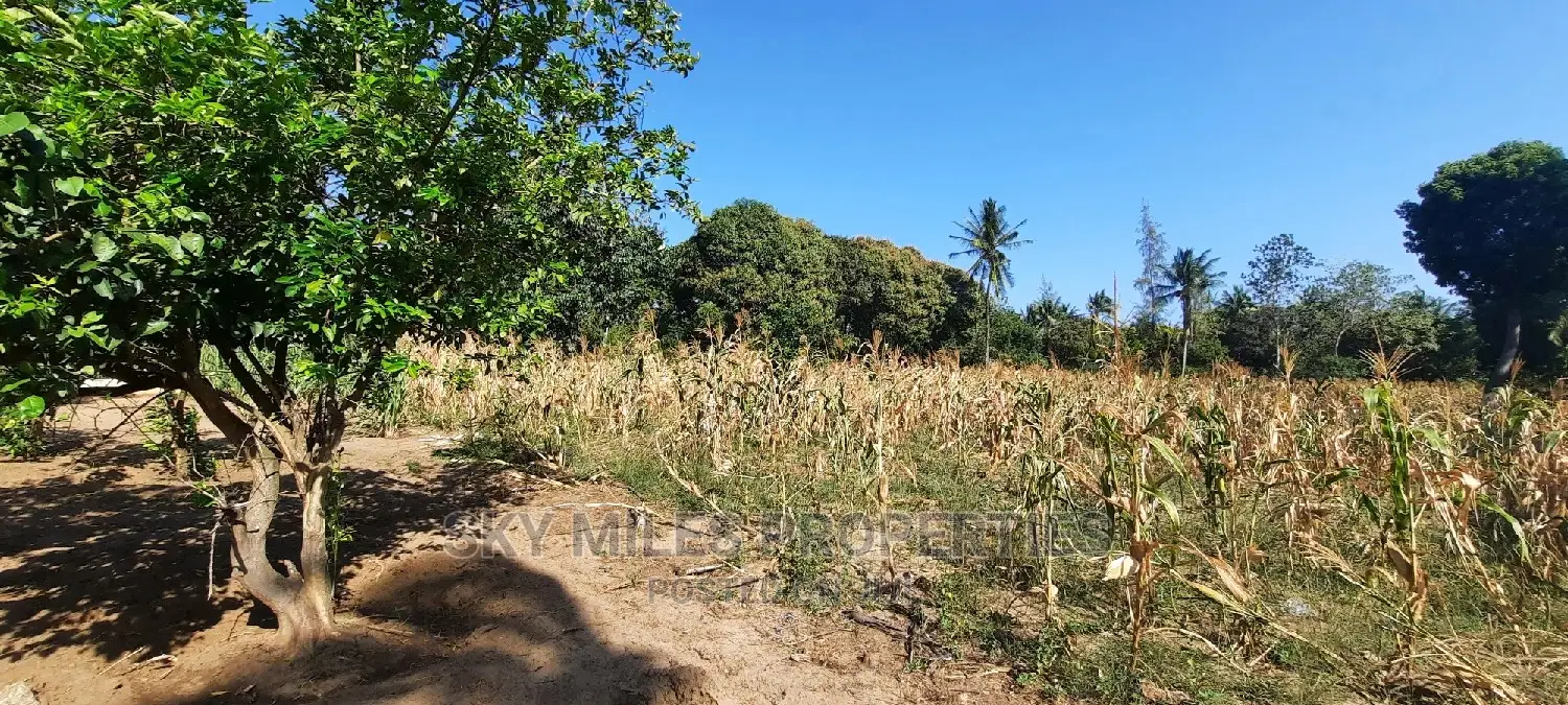 50/100 Plots on Sale at Mtwapa Behind Kari.