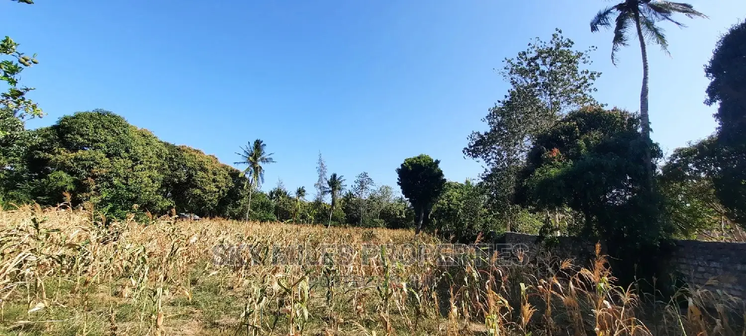 50/100 Plots on Sale at Mtwapa Behind Kari.