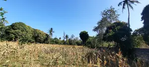 50/100 Plots on Sale at Mtwapa Behind Kari.
