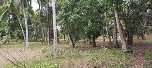 A Parcel of 4 Acres Land on Sale at Mtwapa