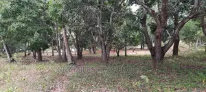 A Parcel of 4 Acres Land on Sale at Mtwapa