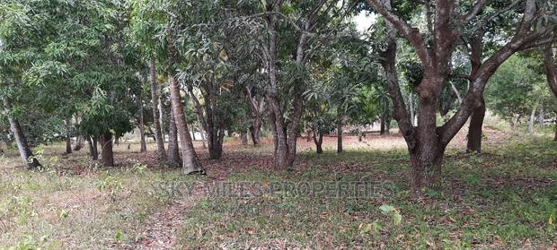 A Parcel of 4 Acres Land on Sale at Mtwapa - thumbnail 4