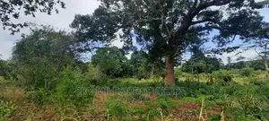 A Parcel of 4 Acres Land on Sale at Mtwapa