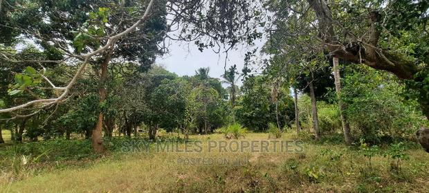 A Parcel of 4 Acres Land on Sale at Mtwapa - thumbnail 7