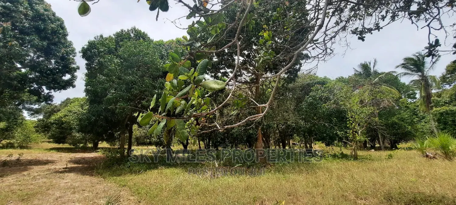 A Parcel of 4 Acres Land on Sale at Mtwapa