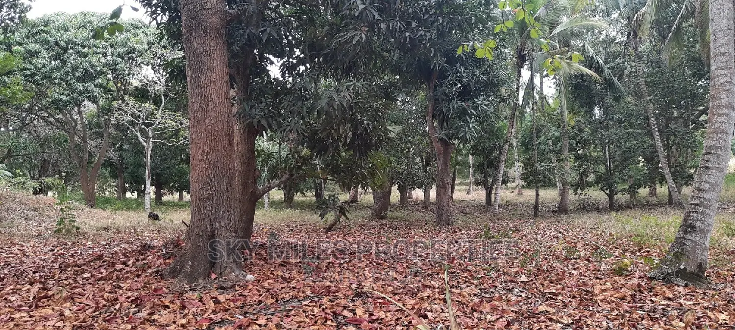 A Parcel of 4 Acres Land on Sale at Mtwapa