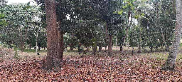 A Parcel of 4 Acres Land on Sale at Mtwapa - thumbnail 13
