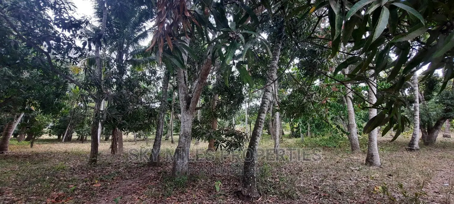 A Parcel of 4 Acres Land on Sale at Mtwapa
