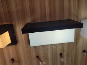 Wall Mounted Light