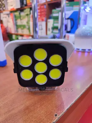 Solar Monitoring Lamp