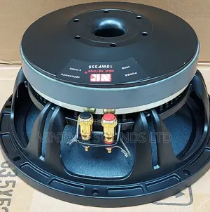 Nr 10inch Wf335 Bm Speaker