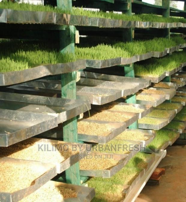 Hydroponic Fodder Production Unit Setup - thumbnail 3