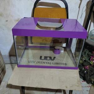 Fish Aquarium, Complete Aquarium - thumbnail 2