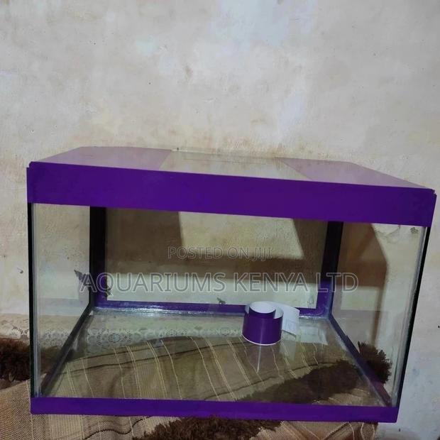 Custom Made, Imported Quality Aquariums - main view