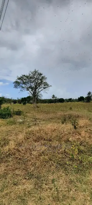 2 Acres Land on Sale at Mtwapa