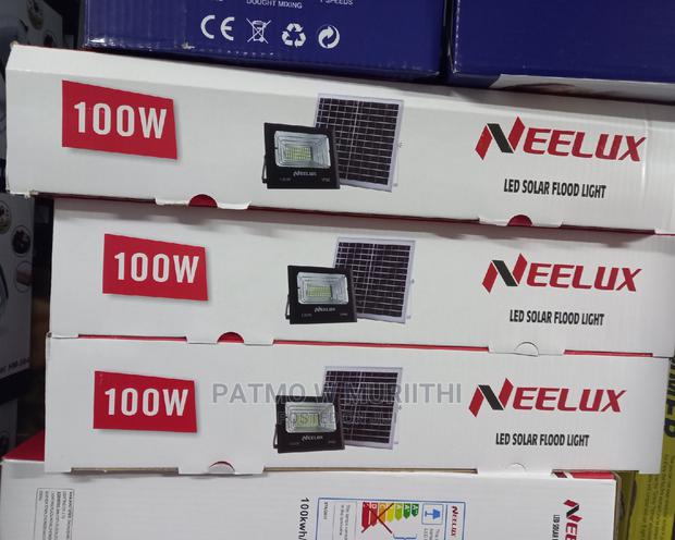 100w Flood Light