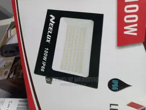 100w Ac Flood Light