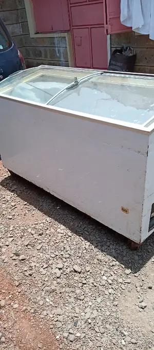 Deep Freezer Clear Top