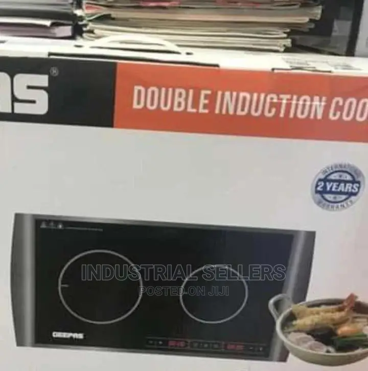 Excellent Double Induction Cooker