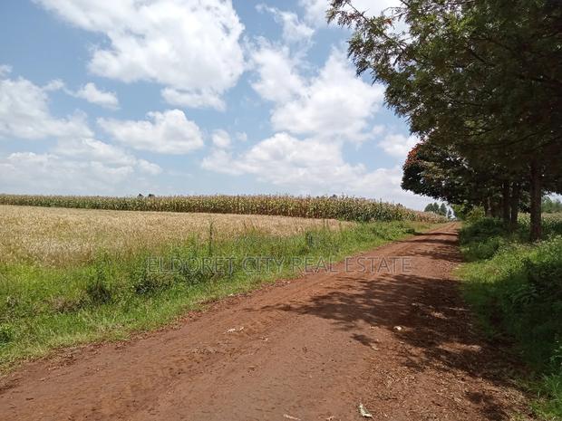 5 Acres Kabenes With Mother Title
