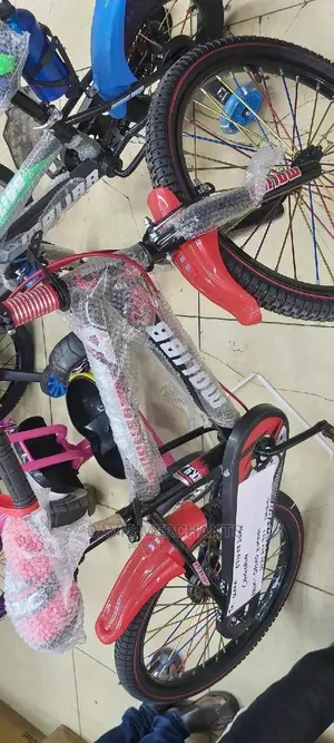 Bike Size 20 Suitable for 8 to 13 Years Kids
