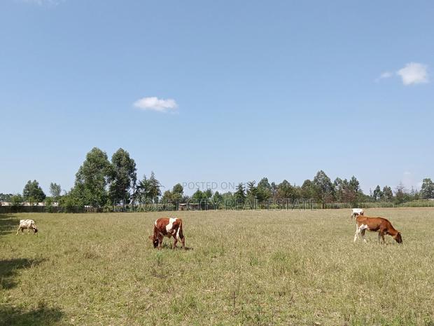 10 Acres Naiberi With Title Around 1.5km From Tarmac - thumbnail 2